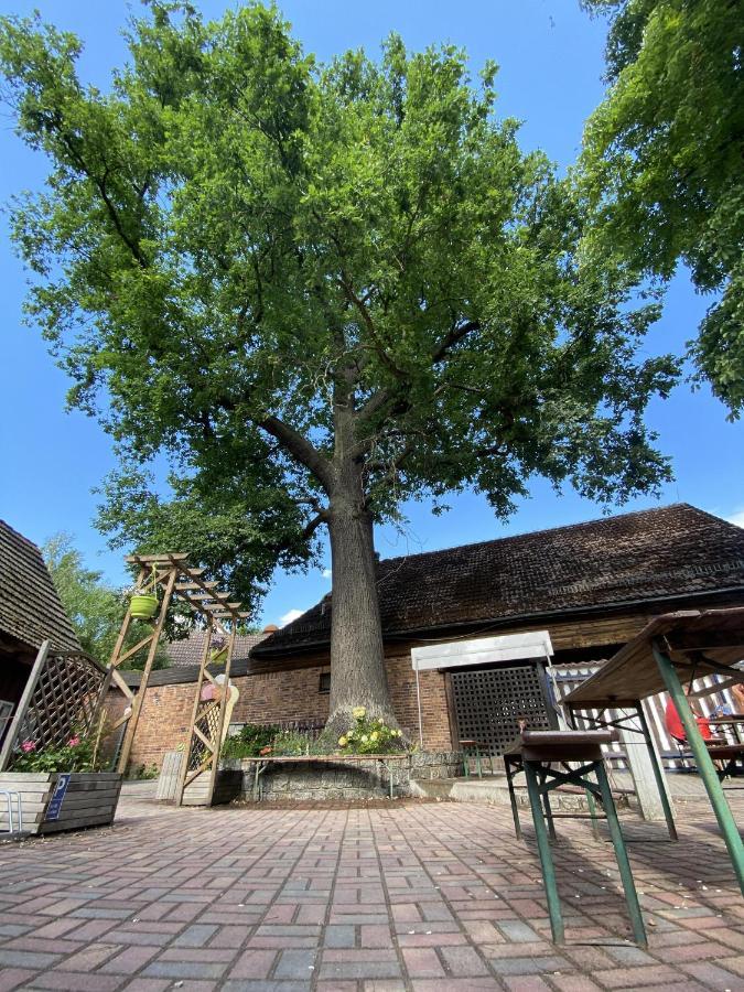Pension Unter Der 250 Jaehrigen Eiche - Lehde Zentrum Kaupen Екстер'єр фото